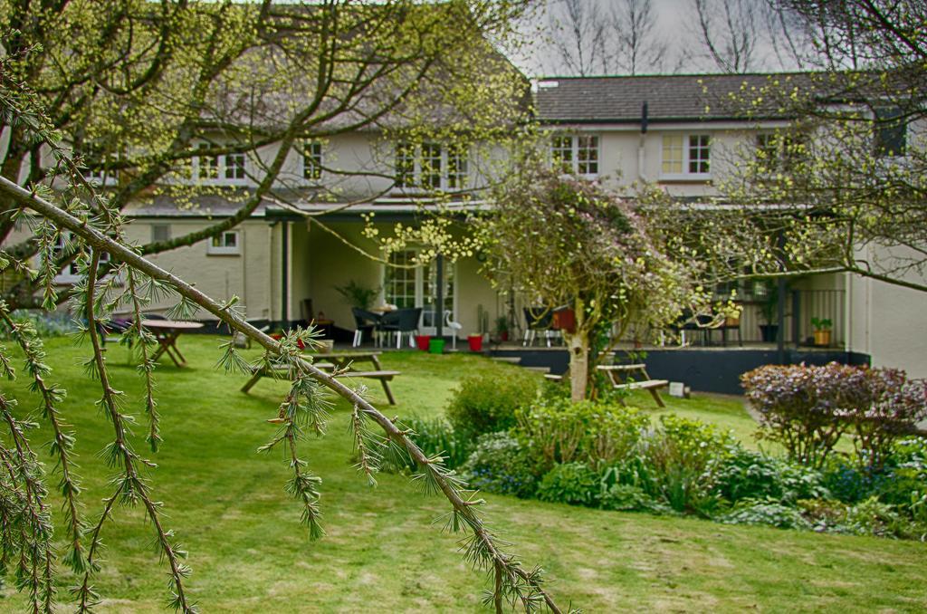Tumbling Weir Hotel Ottery St Mary Exterior photo