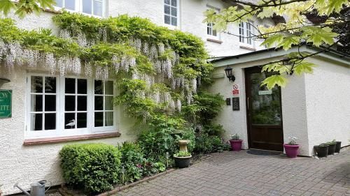 Tumbling Weir Hotel Ottery St Mary Exterior photo
